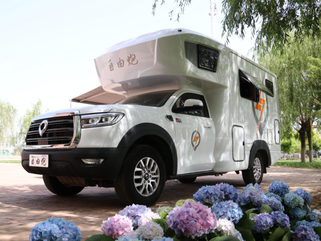 為自由著色！紅、白、藍、棕，你選哪一種？